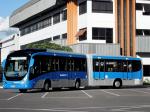 Marcopolo Viale BRT 2012 года